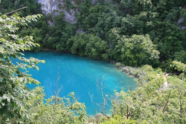gal/cro 08/small-IMG_5585.JPG